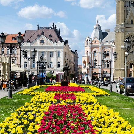 ! Promo! Central Evergreen Studio - Free Public Parking-Fast Wi-Fi Нови-Сад Экстерьер фото